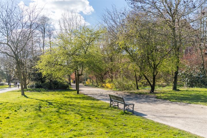 Bekijk foto 41 van Van Baerlestraat 20-A3