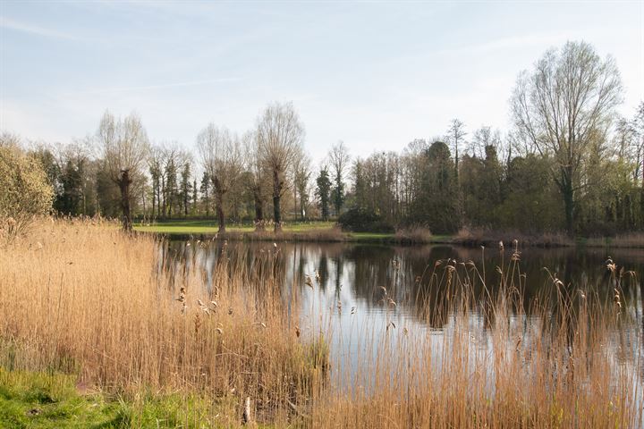 Bekijk foto 33 van Spuikompark 16