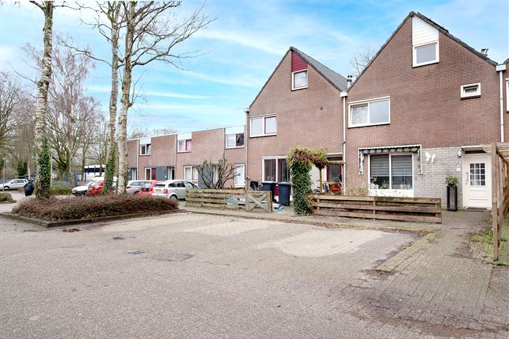 Bekijk foto 6 van Rolderbrink 116