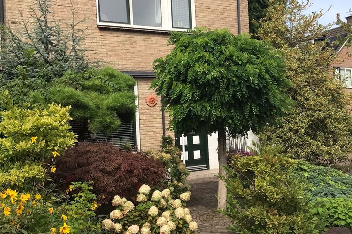 Bekijk foto 53 van Abraham Rademakerstraat 24