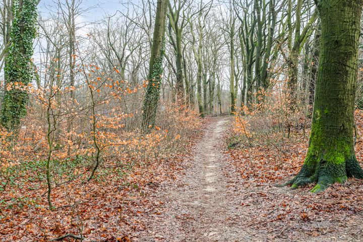 Bekijk foto 30 van Berliozstraat 1-1