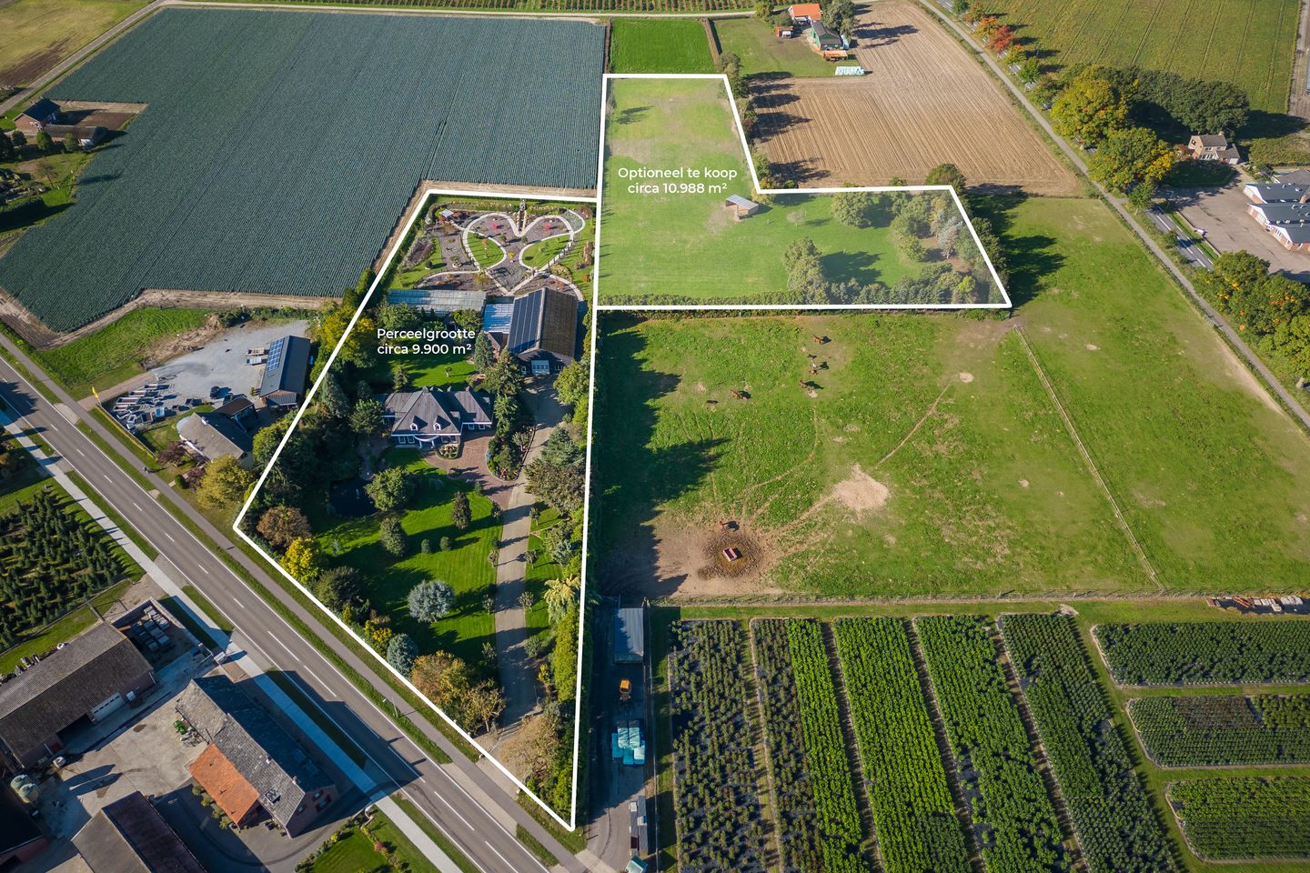 Foto 4 van Molenstraat 141