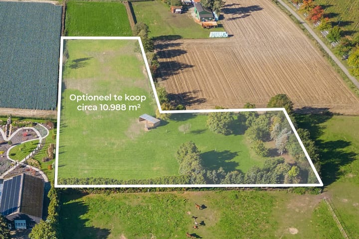 Foto 59 van Molenstraat 141