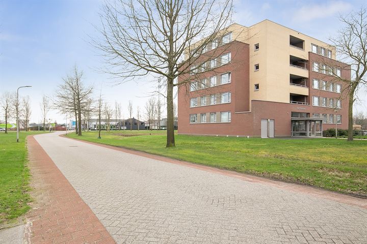 Bekijk foto 30 van Meindert Hobbemastraat 4