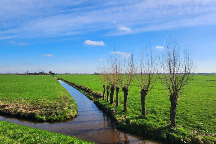 Bekijk foto 39 van Derde Werelddreef 273