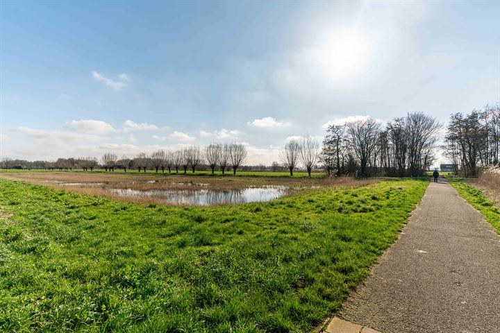 Bekijk foto 40 van Derde Werelddreef 273