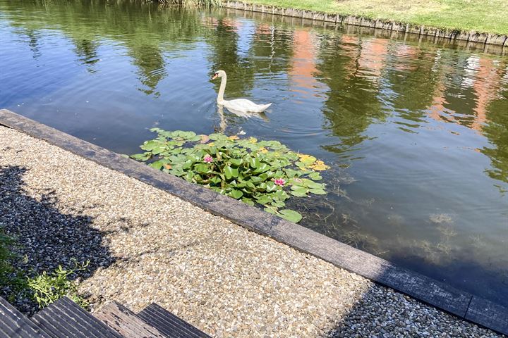 Bekijk foto 5 van Riederveld 50