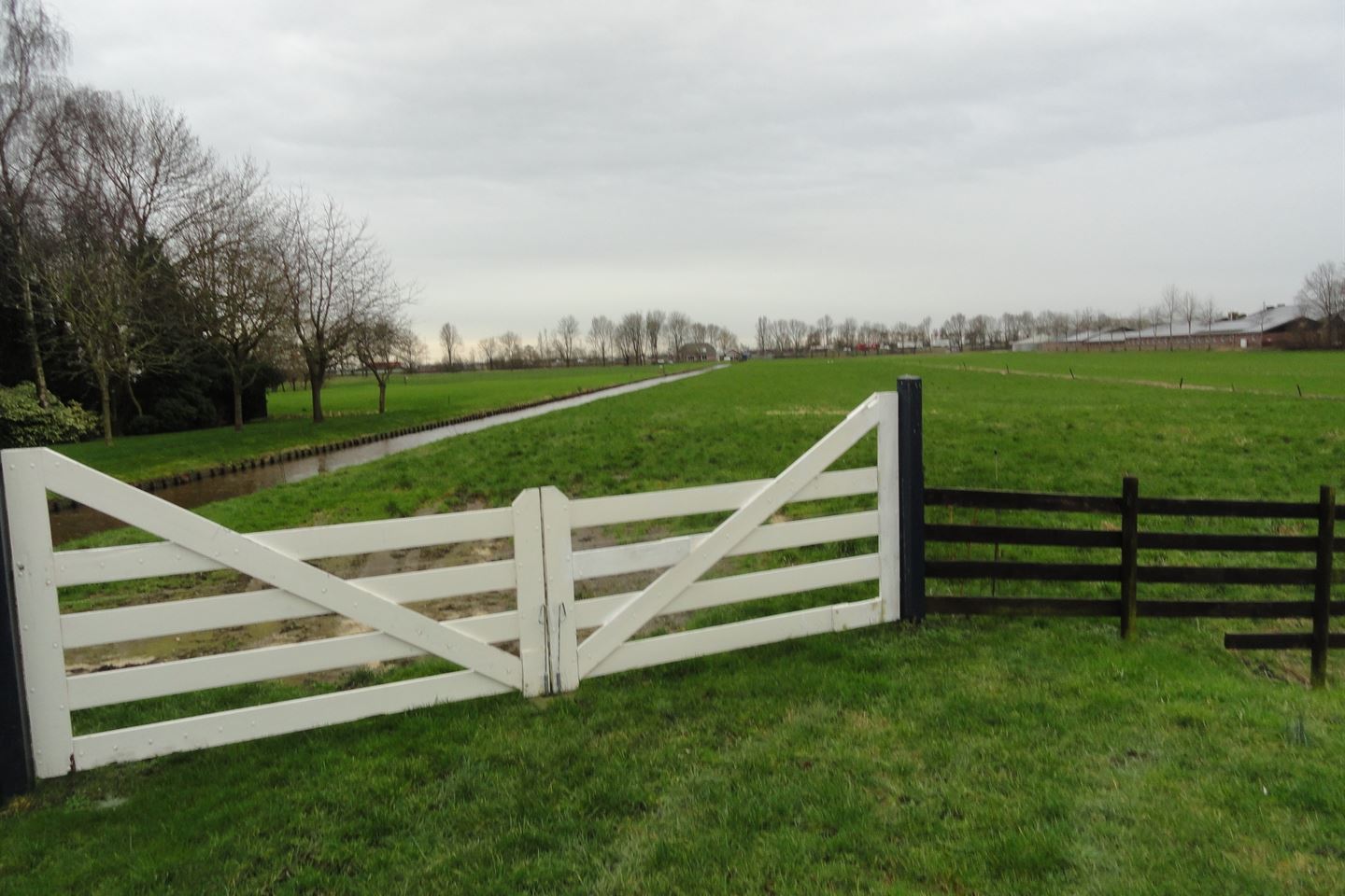 Bekijk foto 1 van Kromwijkerdijk