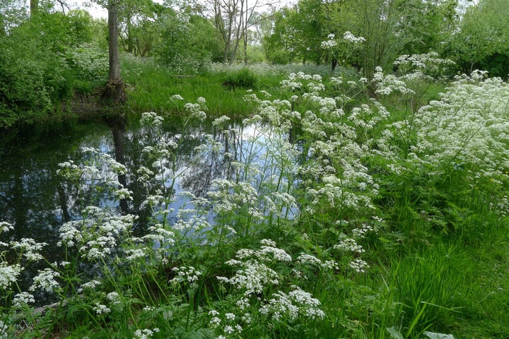 View photo 21 of Middendijk