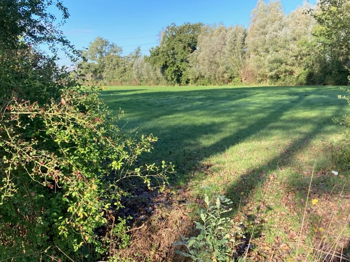 Foto 22 van Middendijk