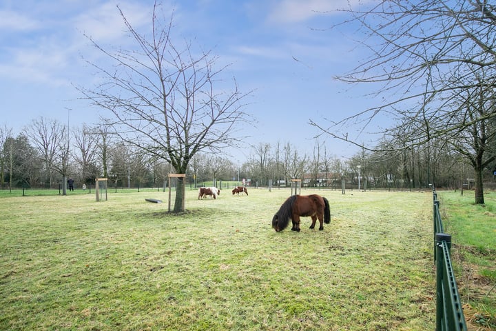 View photo 30 of Poggenbeekstraat 15