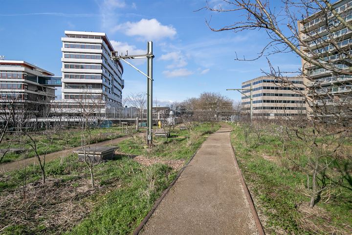 Bekijk foto 46 van Heer Bokelweg 162