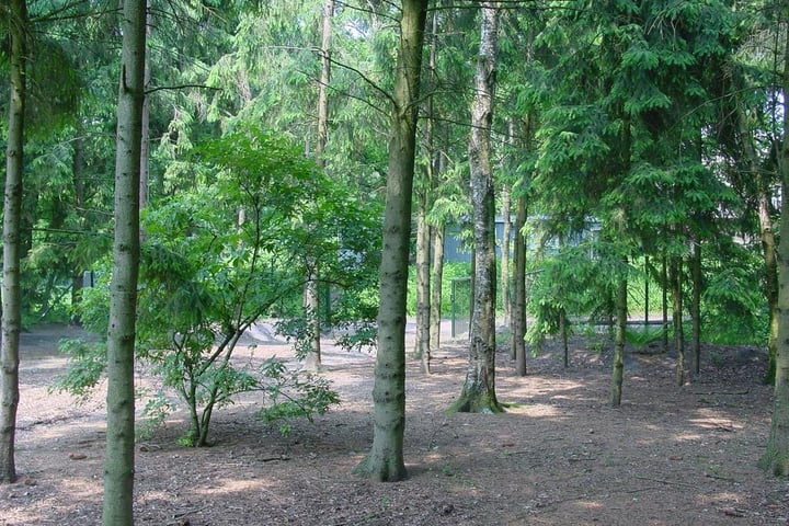 Foto 6 van Strijbosscheweg