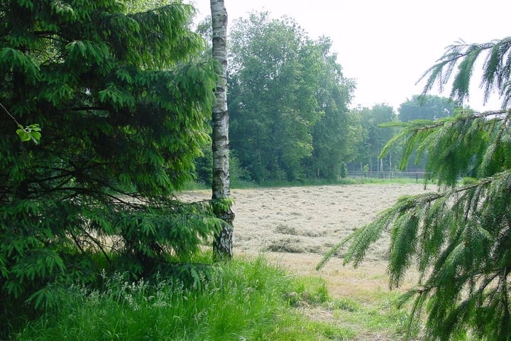Foto 10 van Strijbosscheweg