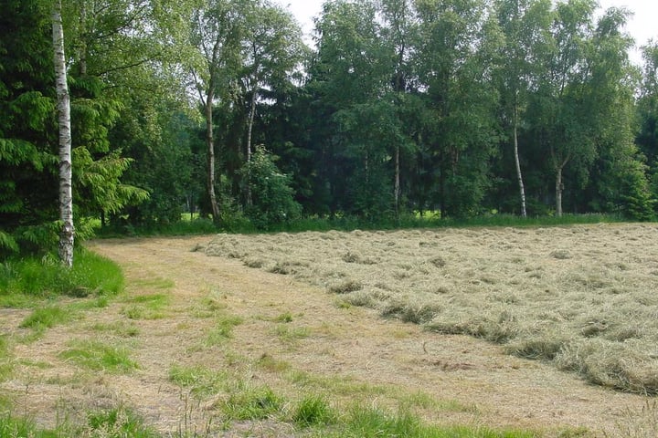 Foto 11 van Strijbosscheweg