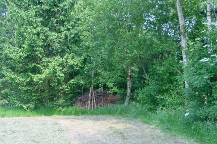 Foto 15 van Strijbosscheweg