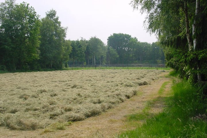 Foto 12 van Strijbosscheweg