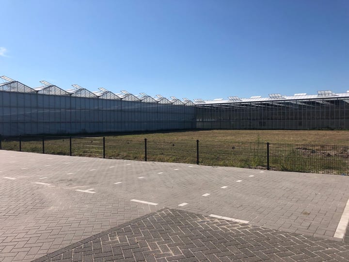 Foto 4 van Naaldwijkseweg 169