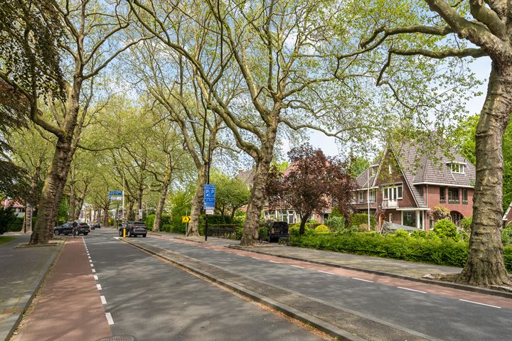 Bekijk foto 47 van Paul Krugerstraat 34