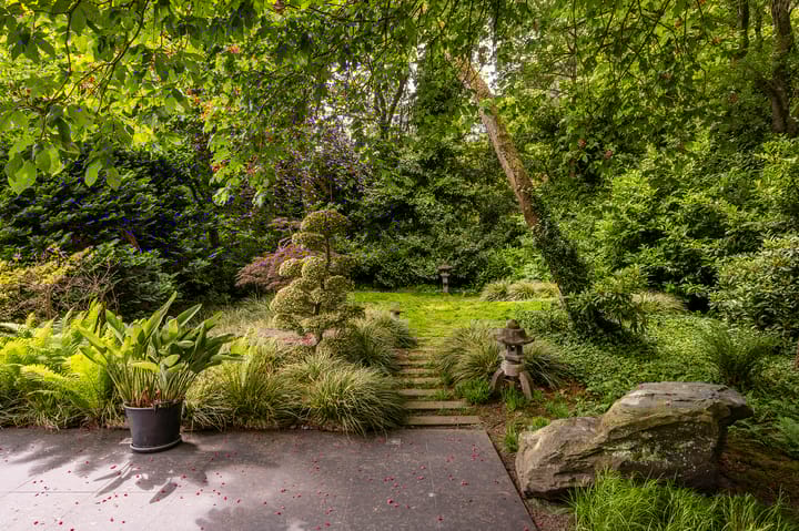 Foto 51 van Werkdroger 7