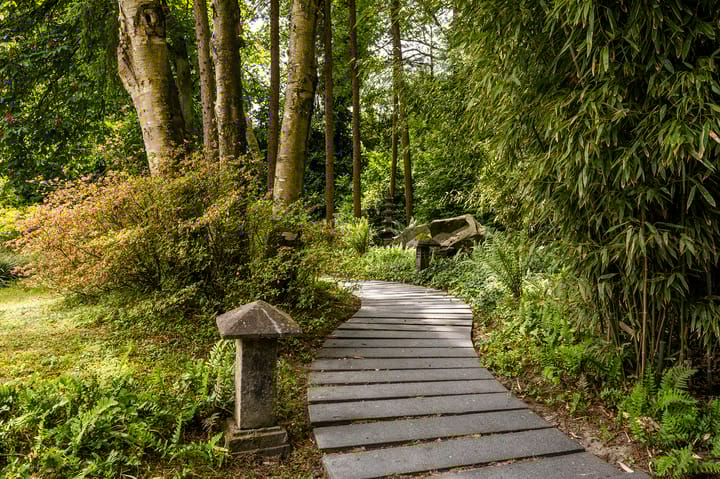 Foto 50 van Werkdroger 7