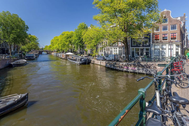 Bekijk foto 38 van Eerste Goudsbloemdwarsstraat 12