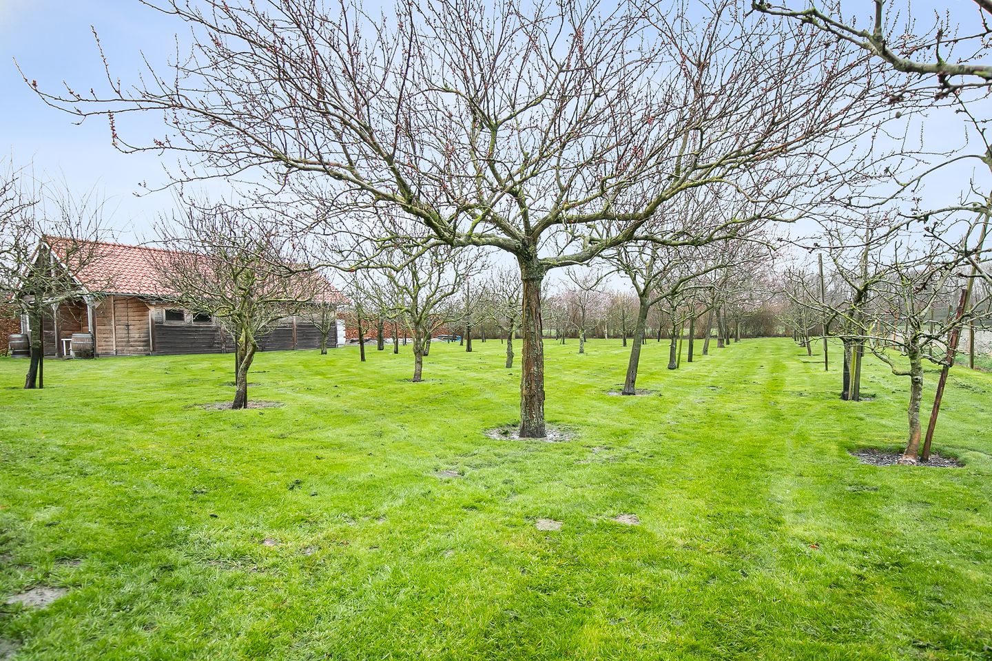 Foto 70 van Floris de Voogdstraat 30