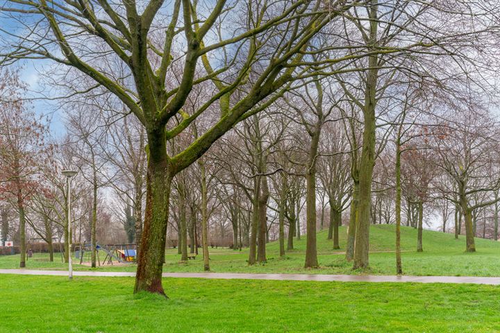 Bekijk foto 3 van Punterdiep 60