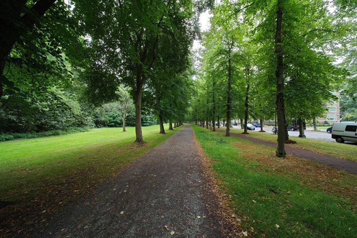 Bekijk foto 42 van Huis te Landelaan 204