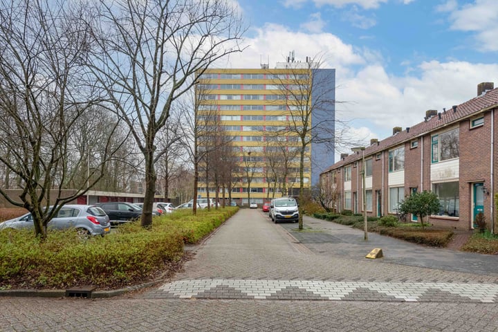 View photo 20 of Boeierstraat 299