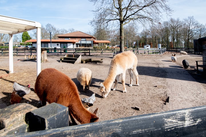 Bekijk foto 56 van Hommelweg 2-519