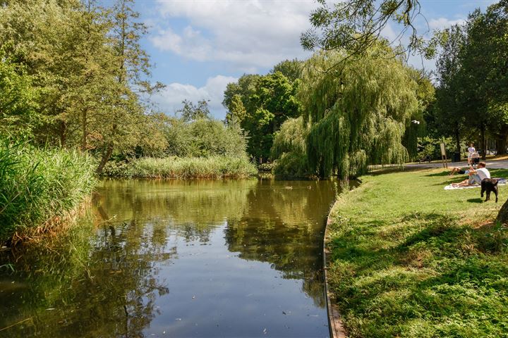 Bekijk foto 22 van Karel du Jardinstraat 50-II