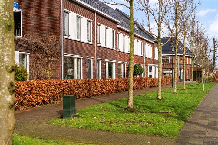 Bekijk foto 10 van Jelsumerstraat 41-B