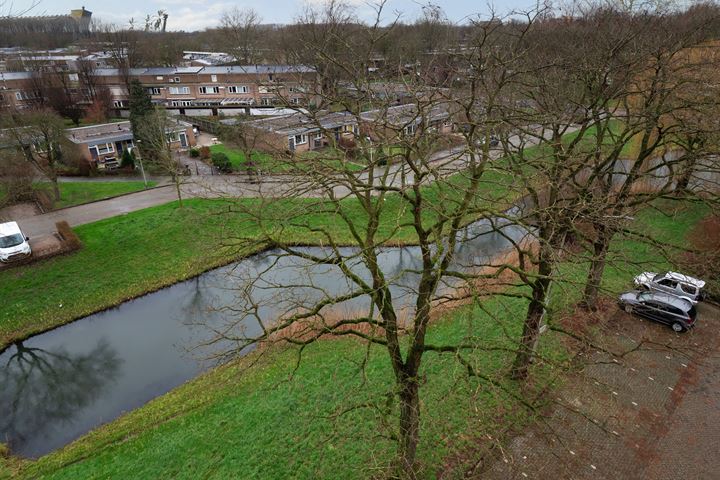 Bekijk foto 17 van Tolhuis 1291