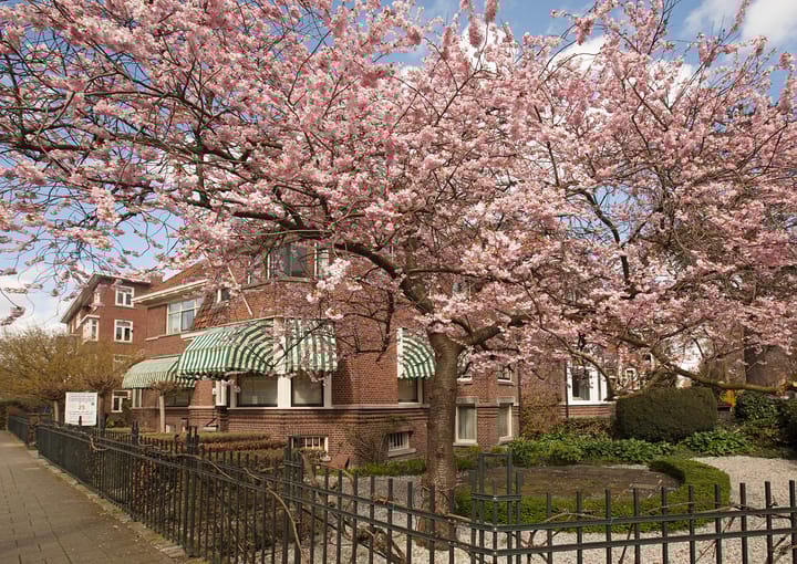 A promotional picture for the office