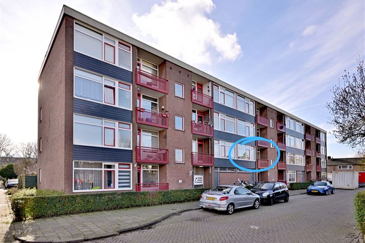 Bekijk foto 1 van Amerstraat 44