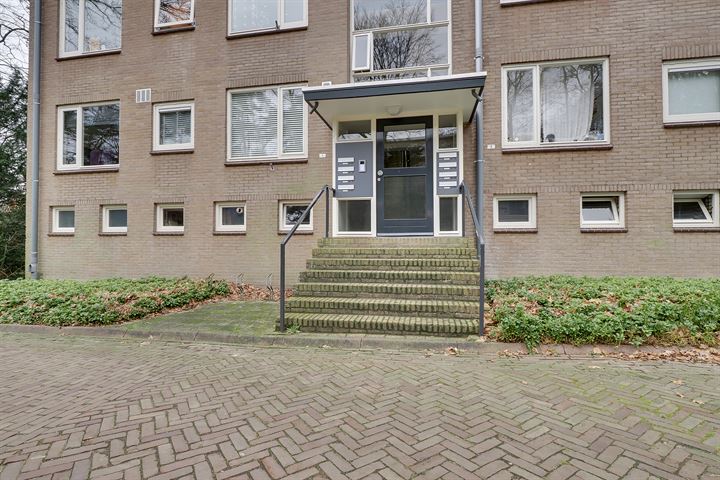 Bekijk foto 3 van Ravelstraat 3-3