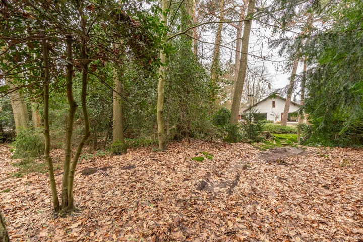 Foto 45 van Bilderdijklaan 26