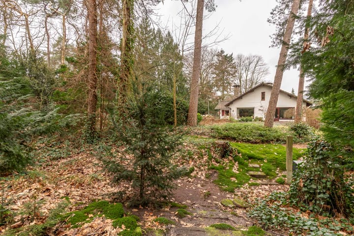 Foto 44 van Bilderdijklaan 26