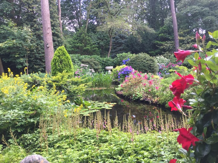 Foto 5 van Bilderdijklaan 26