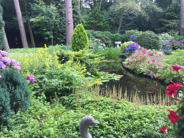 Foto 50 van Bilderdijklaan 26