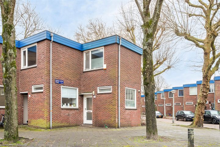 Bekijk foto 1 van Andries Snoekstraat 97