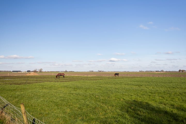 Bekijk foto 4 van Gruytsweg 11