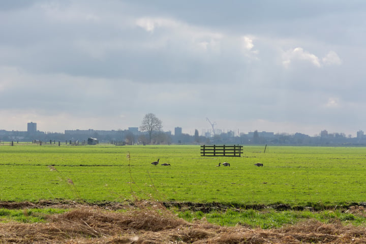 Bekijk foto 37 van Derde Werelddreef 91