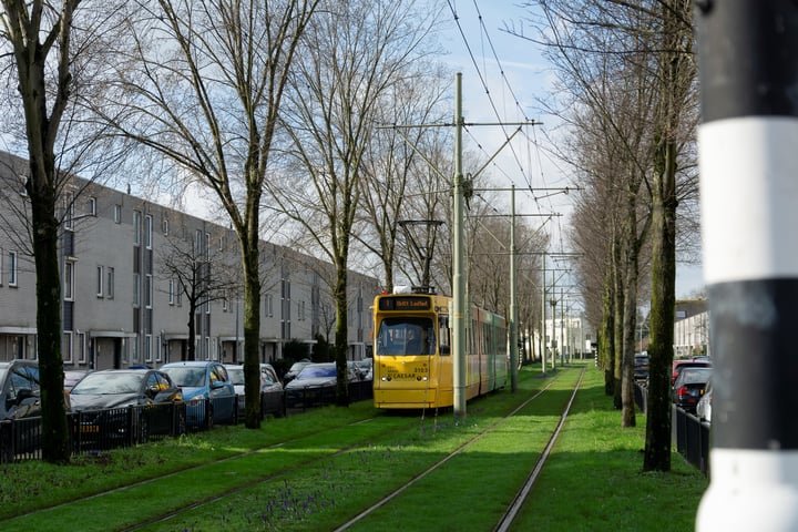 Bekijk foto 39 van Derde Werelddreef 91