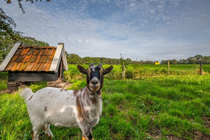 Bekijk foto 101 van Kreilweg 1