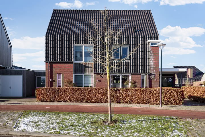 undefined main image