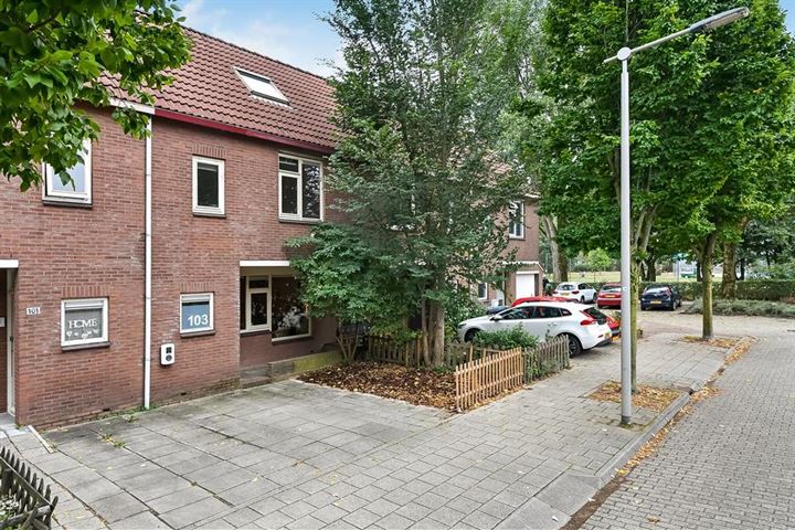 Bekijk foto 2 van Woudrichemstraat 103