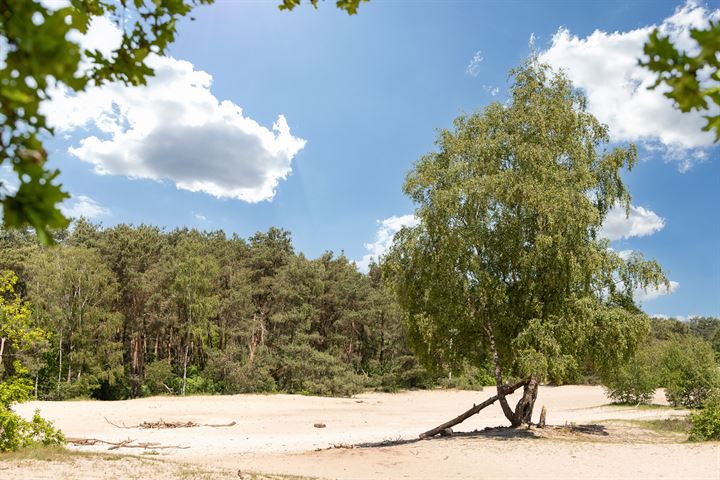 Bekijk foto 36 van Gastenberg 96