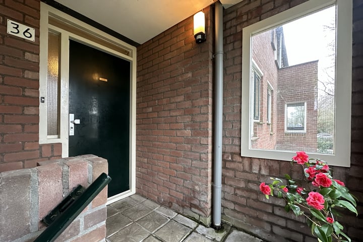 Bekijk foto 18 van Mispelgaarde 36